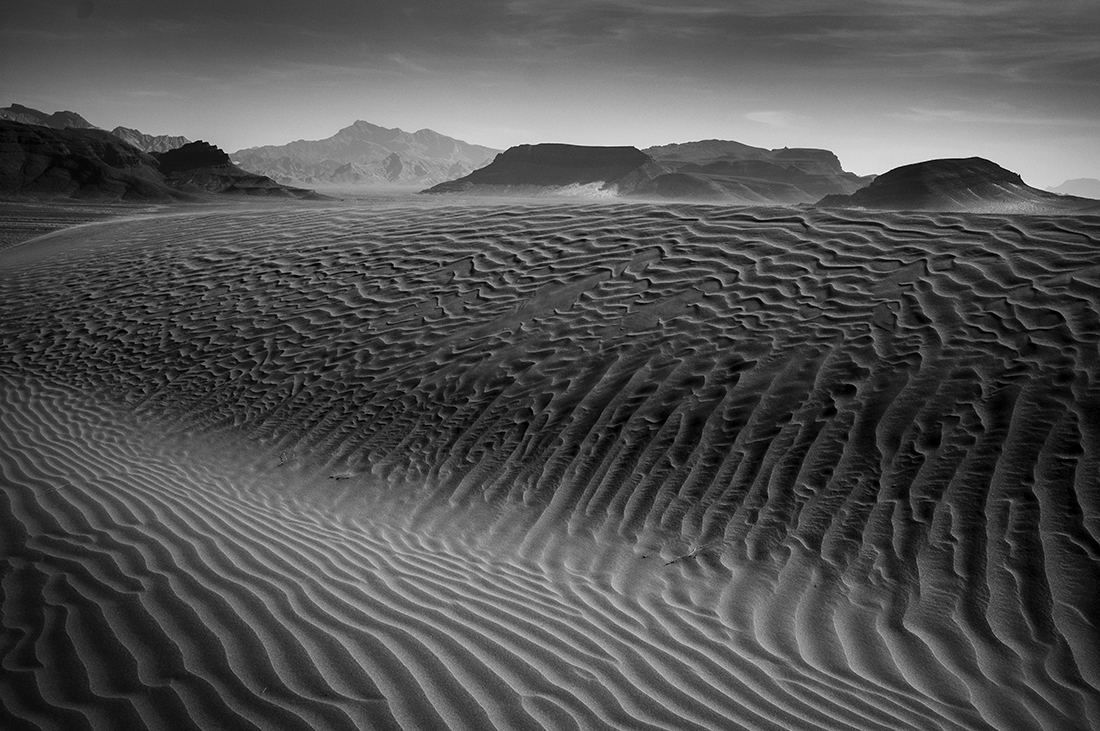 SHADOWS OF SILENCE