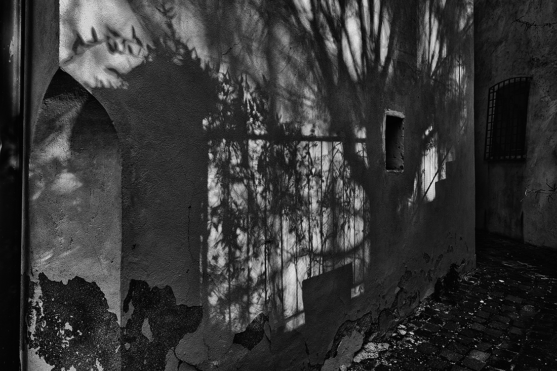 Metaphysics of an Earthquake