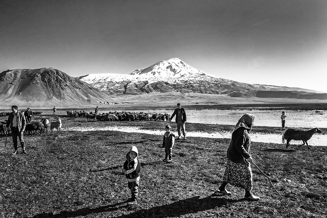 Shadows of Kurdistan