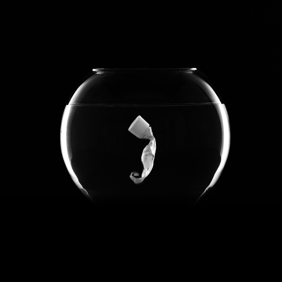 aquarium