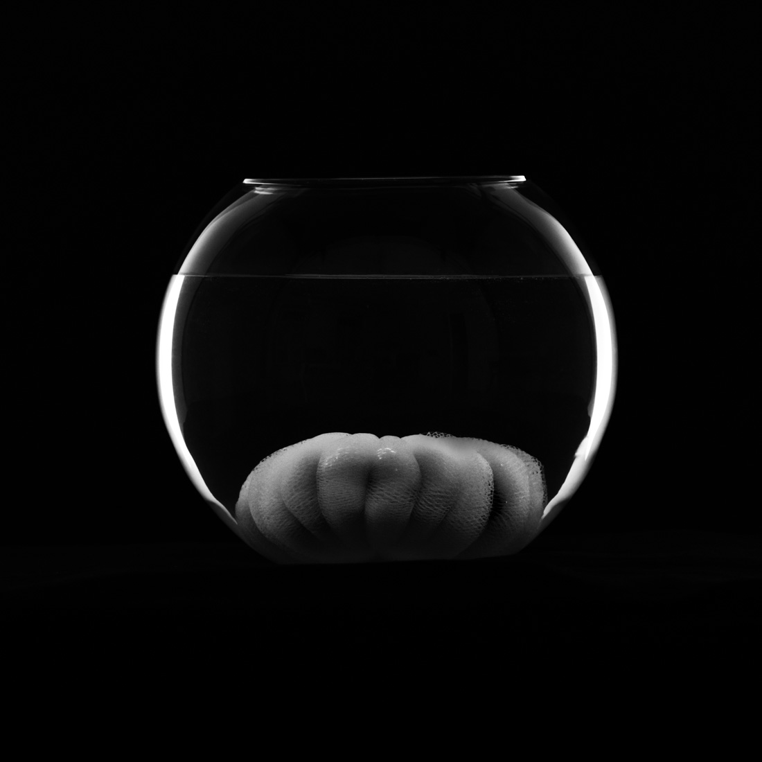 aquarium