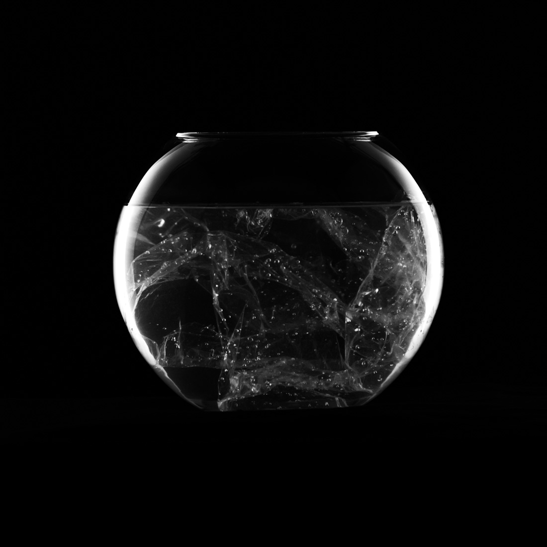 aquarium