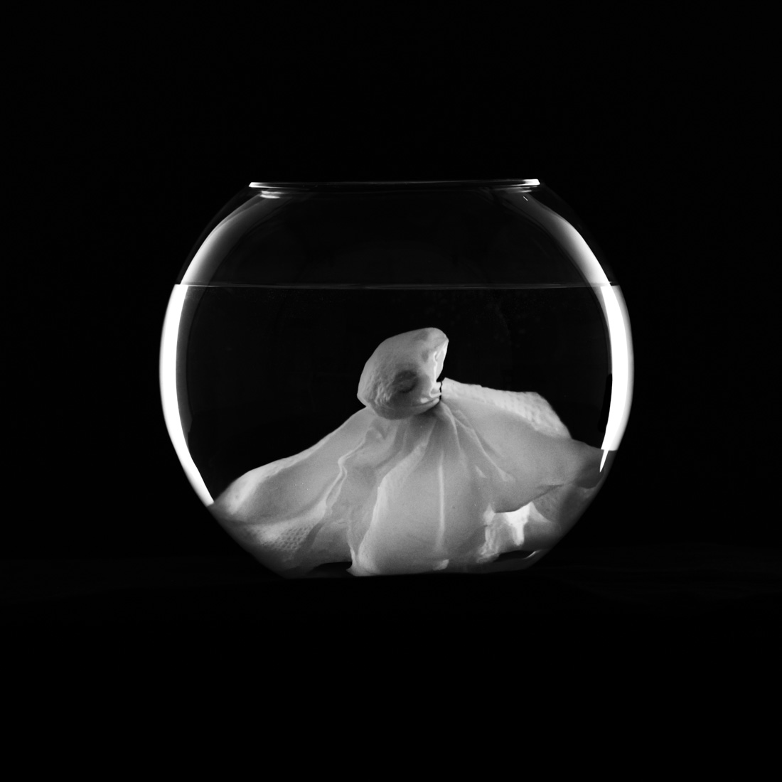 aquarium