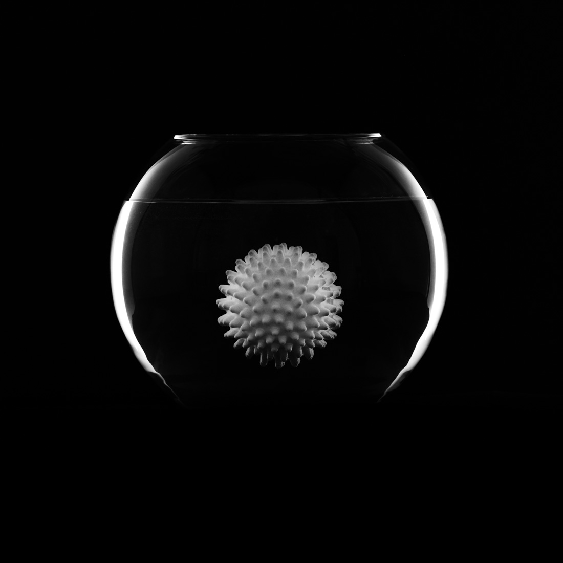 aquarium