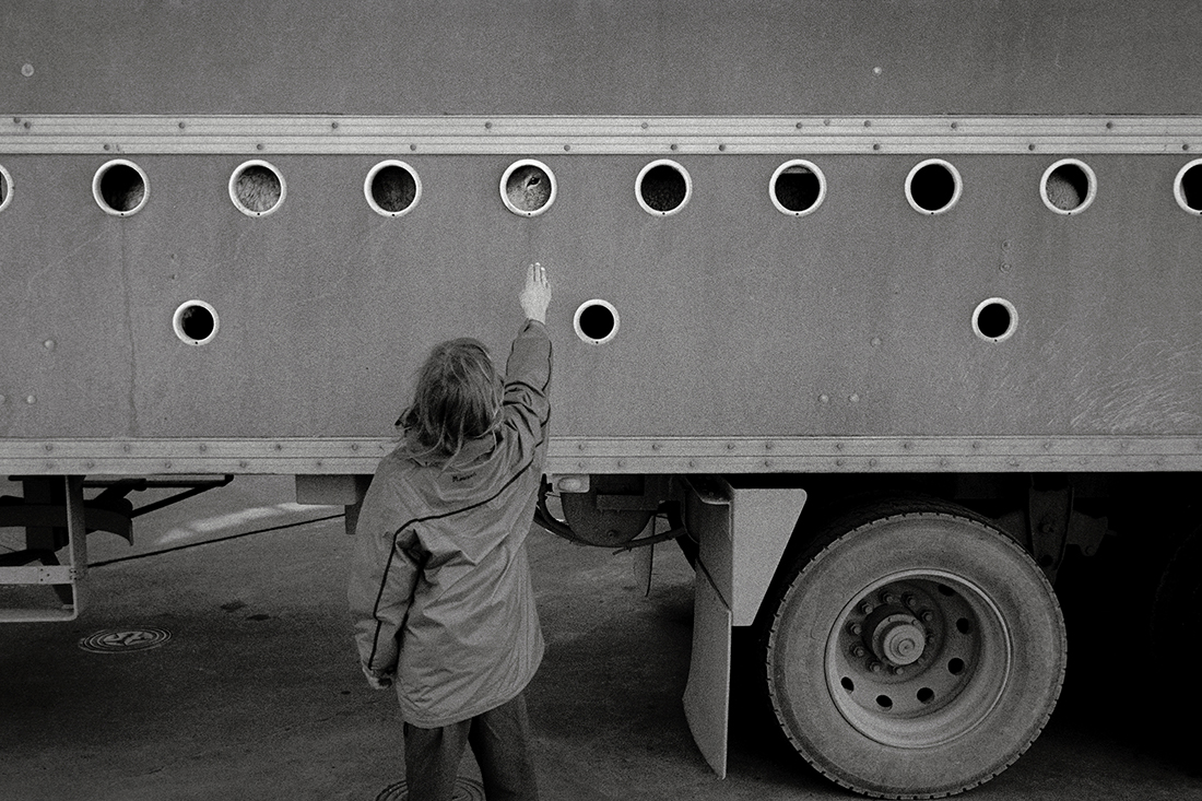 The Pursuit of Happenstance