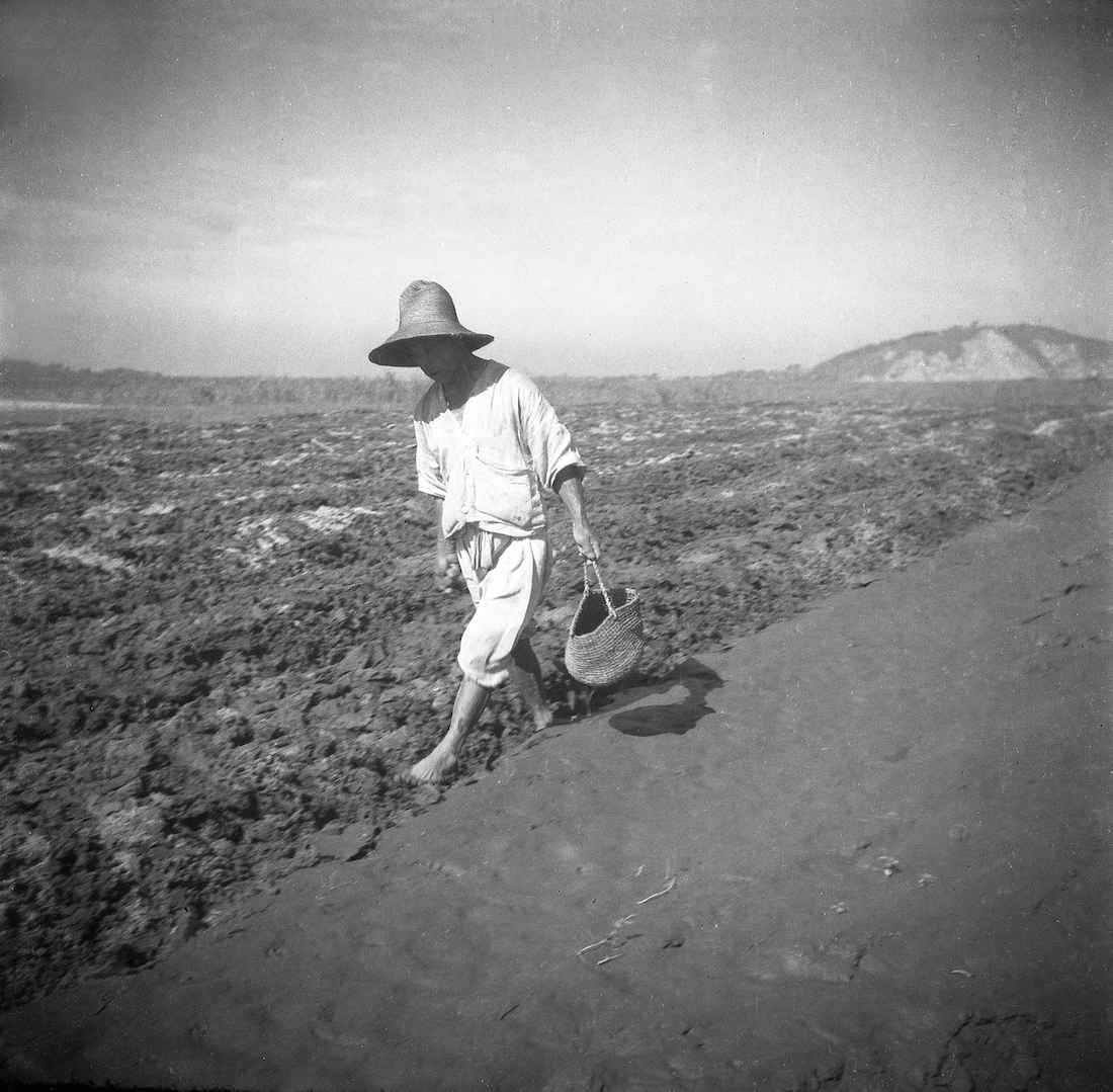 Korea 1945: Between The Shadows of Occupation and War