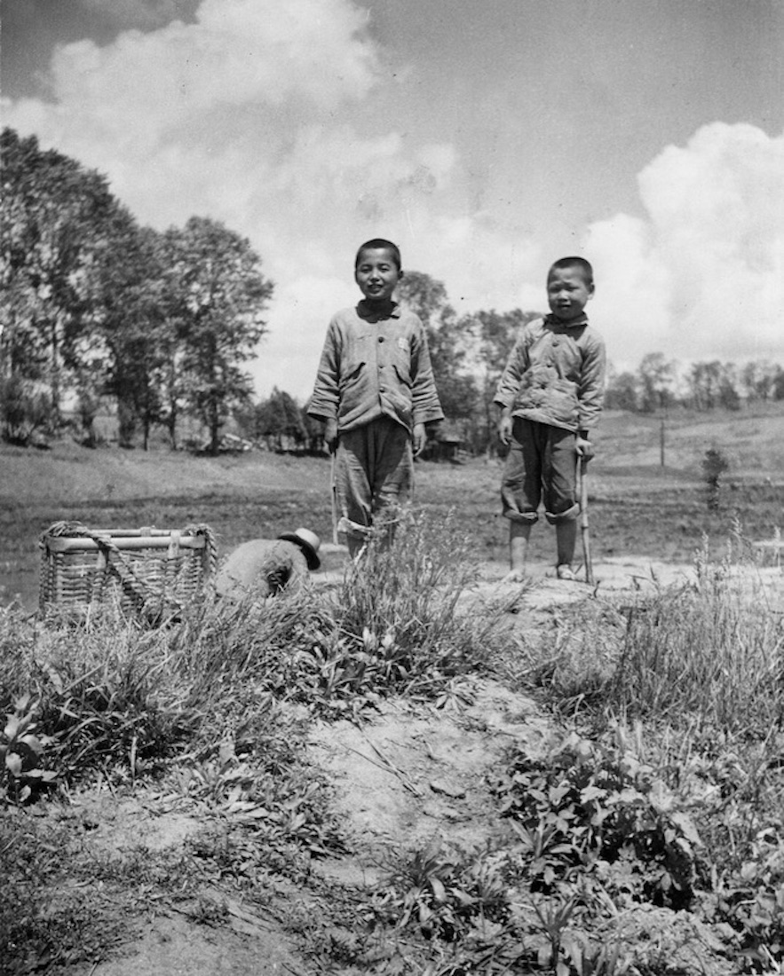 Korea 1945: Between The Shadows of Occupation and War