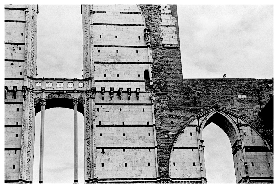 The World in Black & White