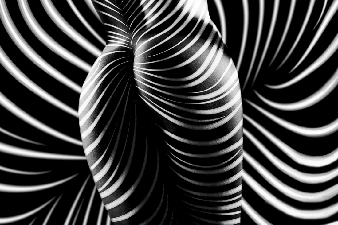 zebra nude - curves & lines