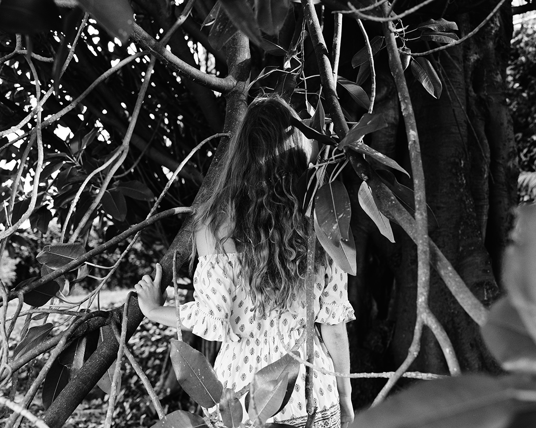 Dreamcatcher