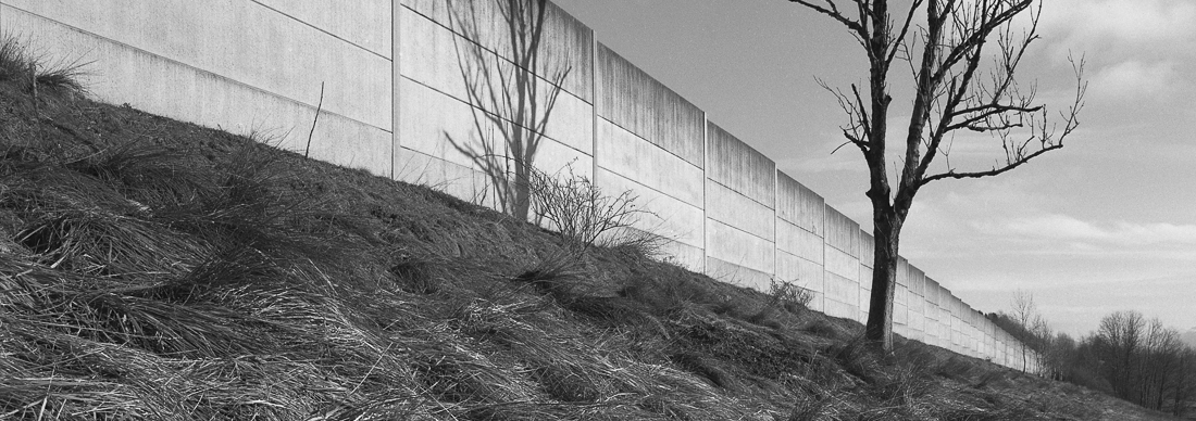 Silence Beyond The Wall