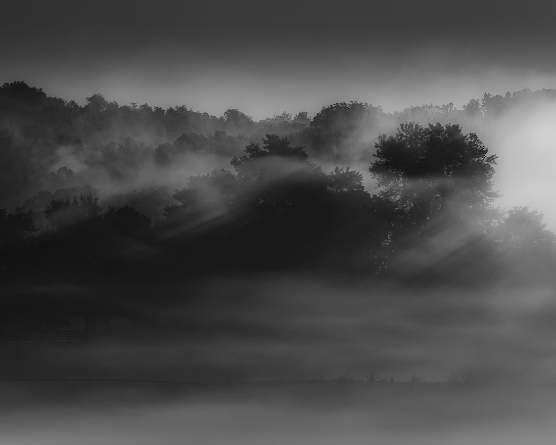 Fog & Light on Goose Creek