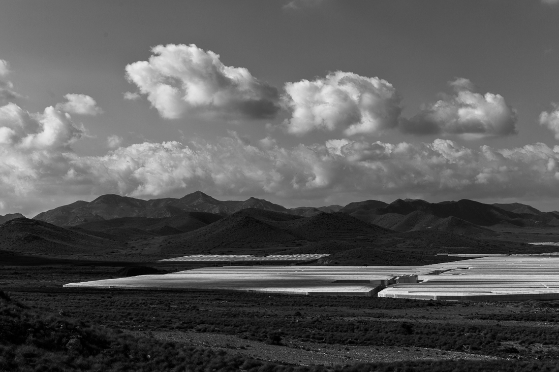 The greed for water - Agriculture in Andalusia