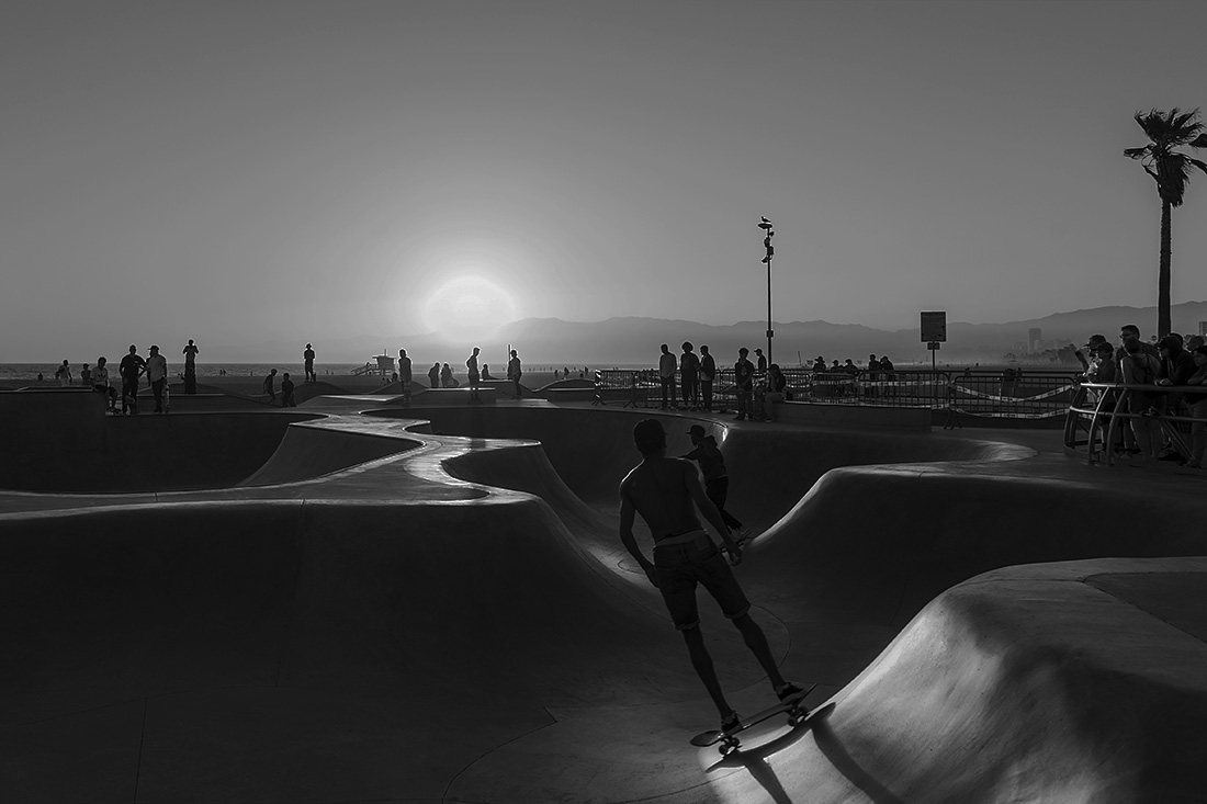 skatepark venice