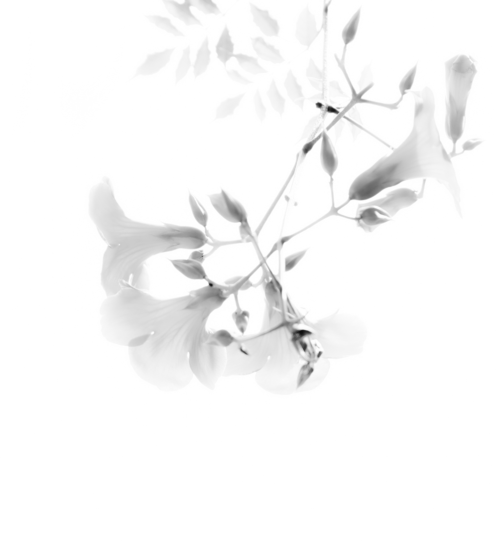 Oriental Ink Painting