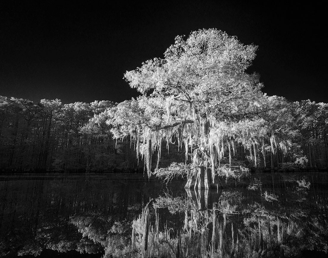 MonoVisions Photography Awards - International Black and White Photo  Contest - Show WinnersGallery