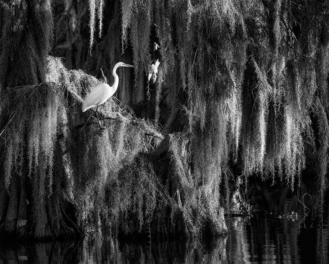 MonoVisions Photography Awards - International Black and White Photo  Contest - Show WinnersGallery