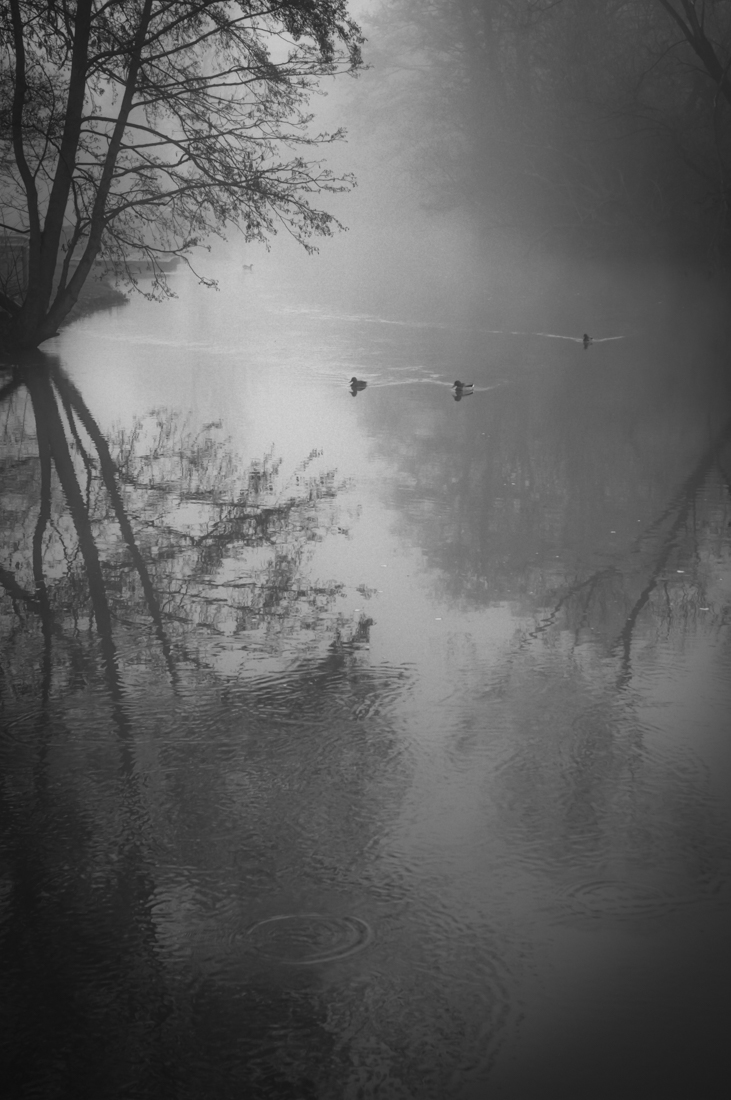 Misty Morn Along The Isis, Oxford
