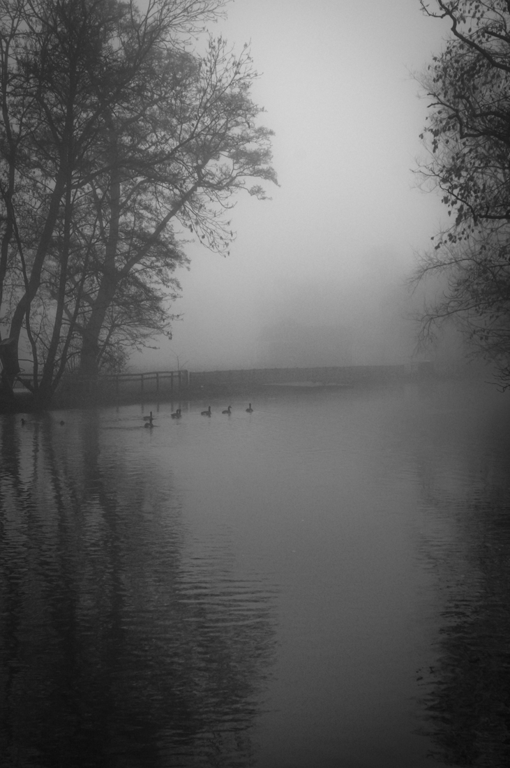 Misty Morn Along The Isis, Oxford
