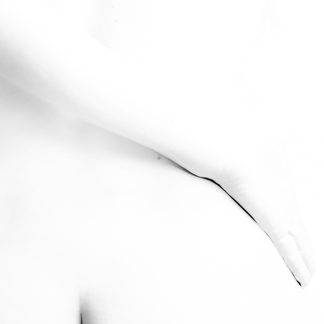 Géométrie du corps- Body Geometry