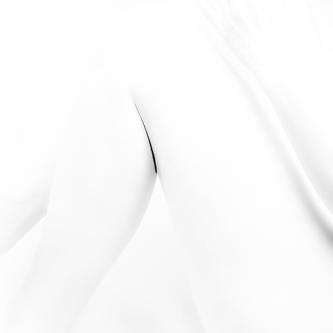Géométrie du corps- Body Geometry