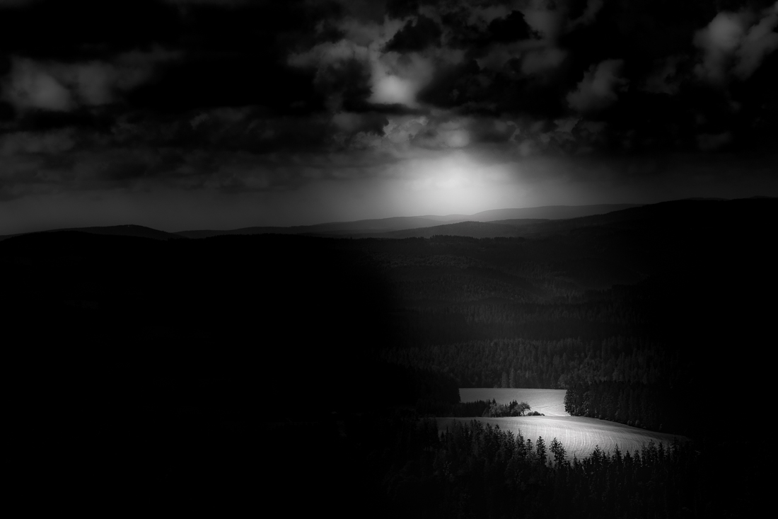 Black Forest in Black and White
