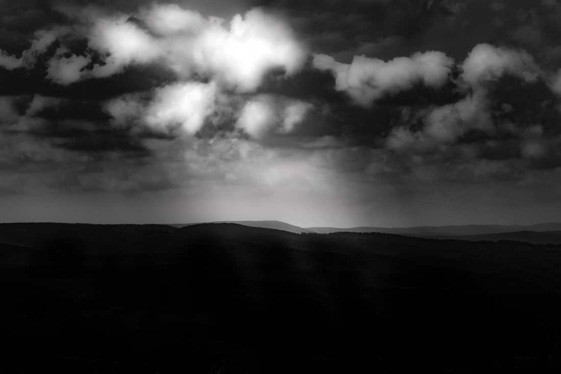 Black Forest in Black and White