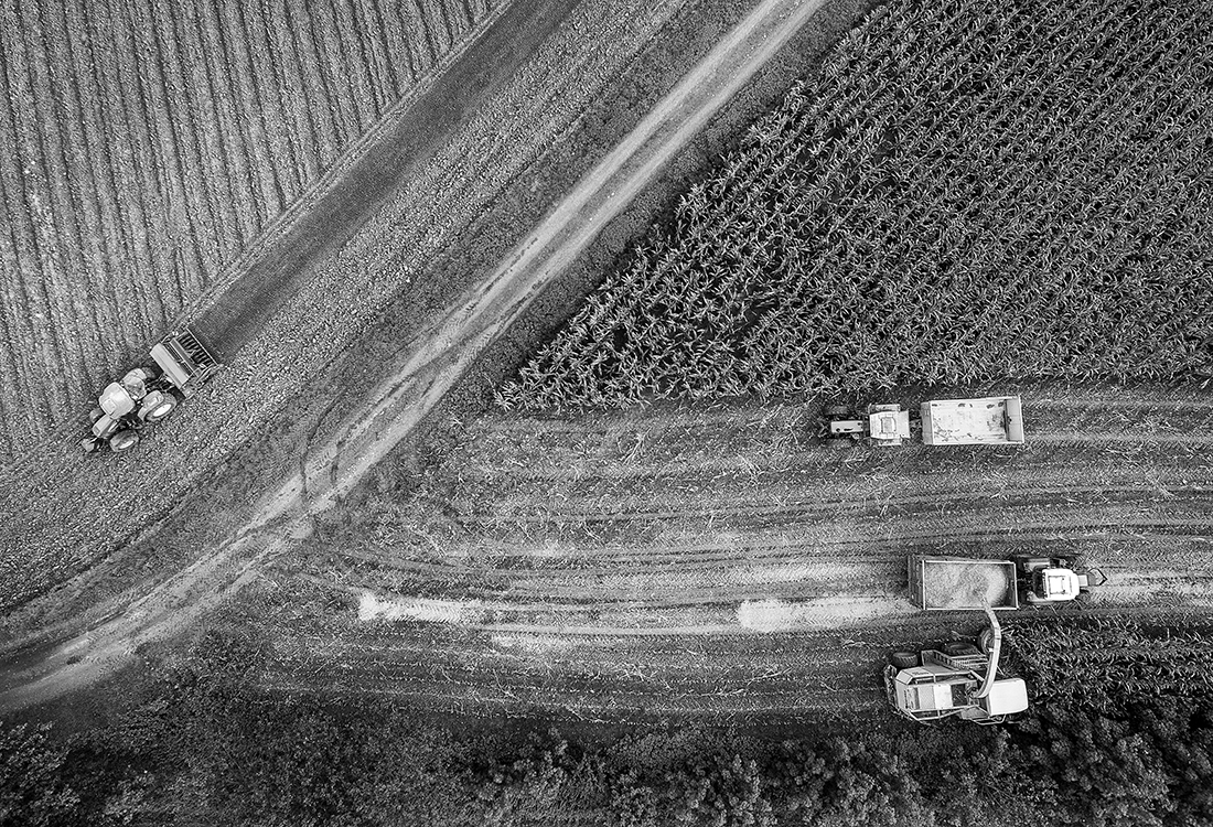 Farmers work