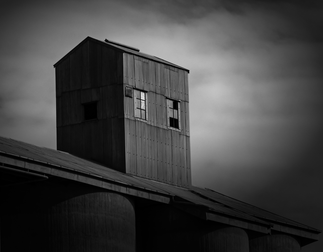 Silo Sentry