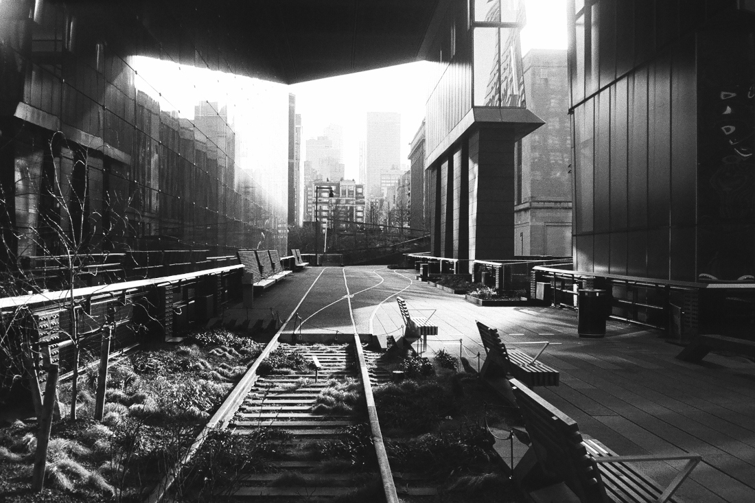 Synecdoche, New York