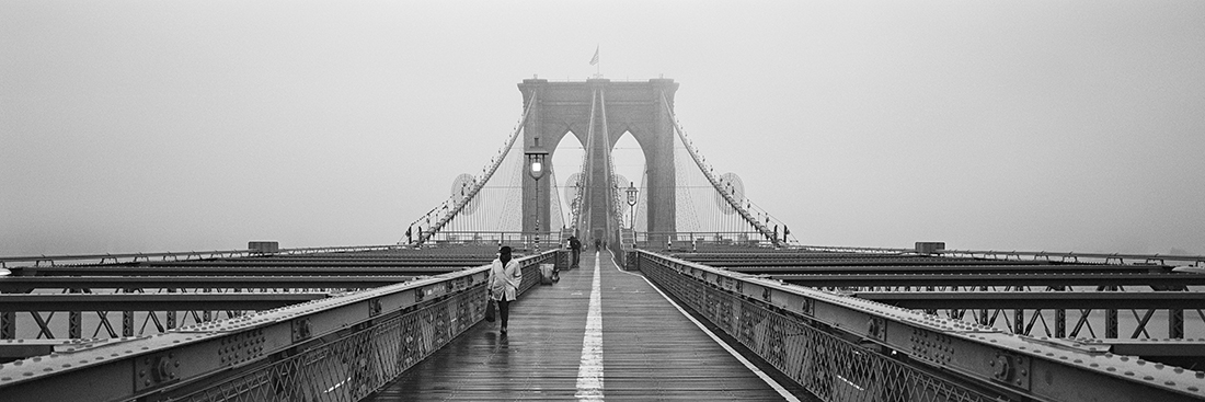 Through the Fog
