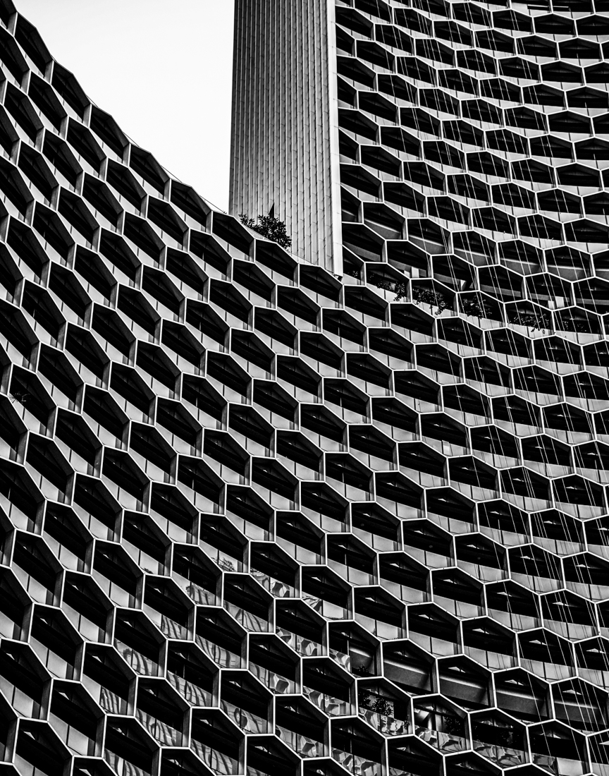 Honeycomb