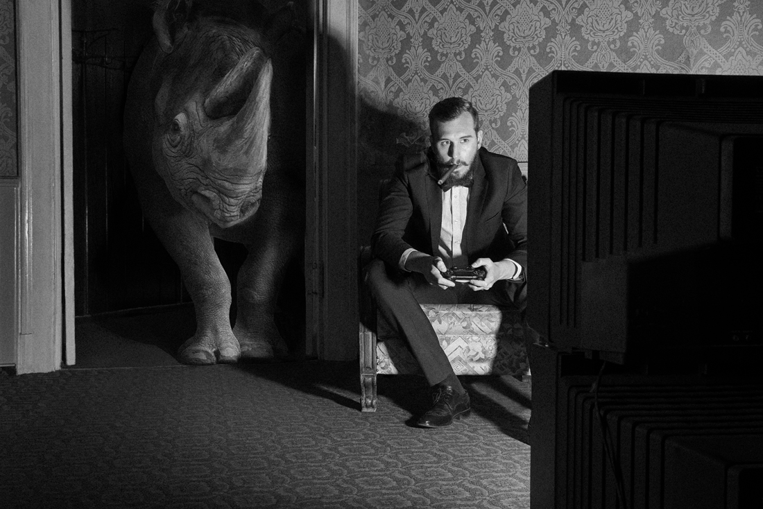 Cabinet of Curiosities