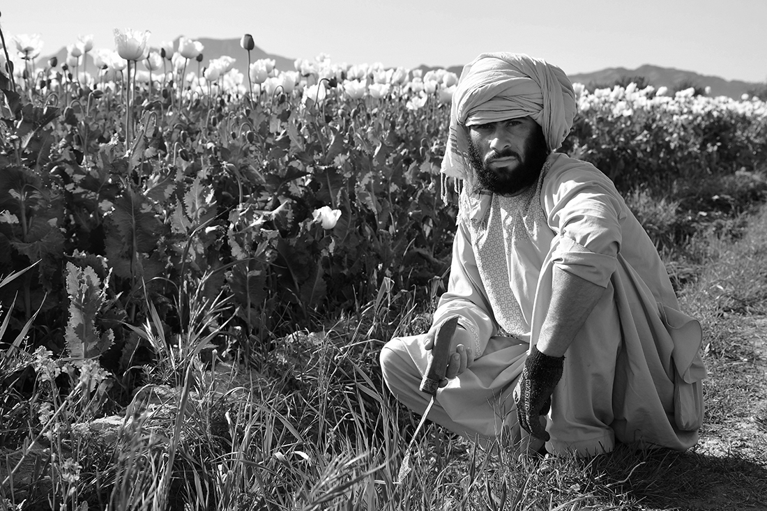 People of the Poppy Fields  