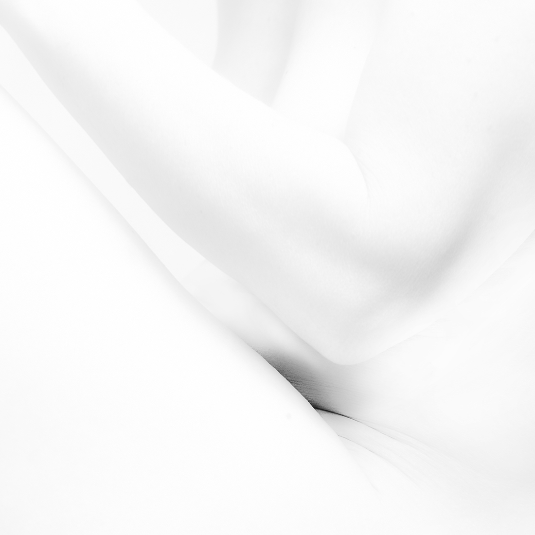 -Body geometry-