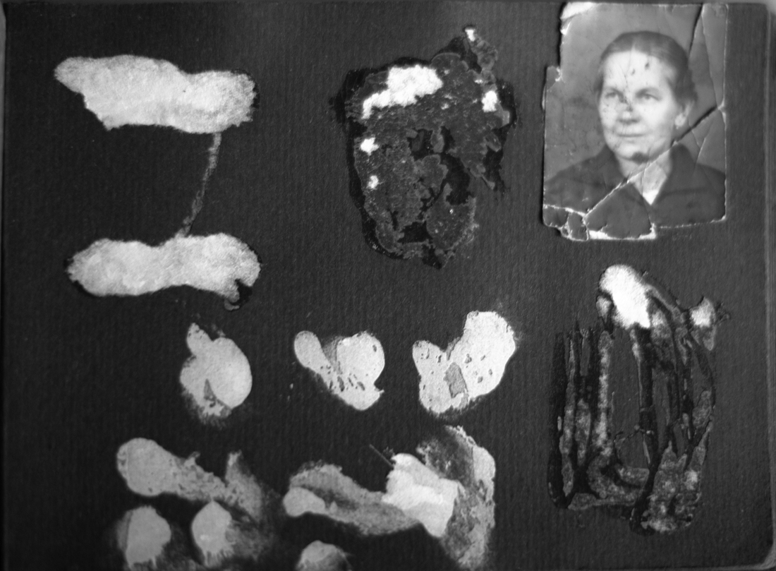 Brooch