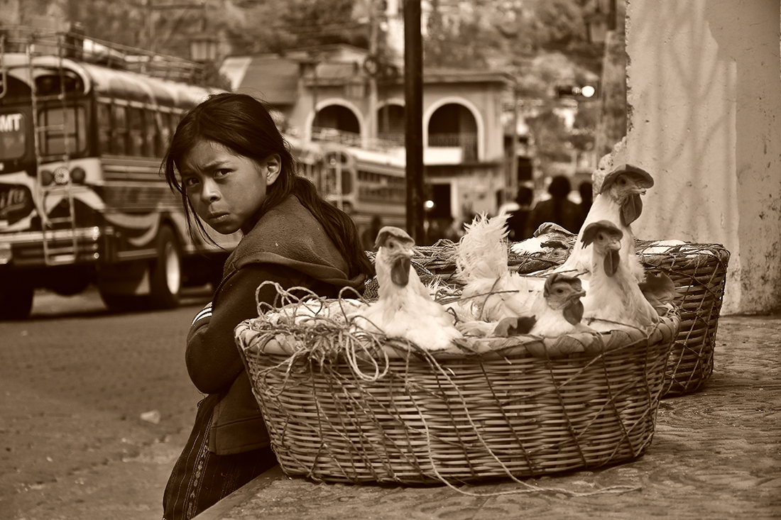 chicken seller in Sololà Guatemala 2018