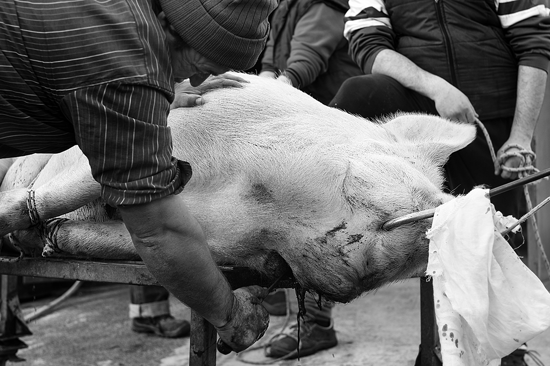 Sospensione del giudizio