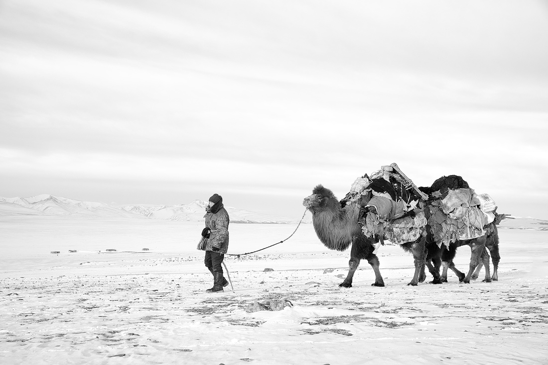 Five Years Apart ; A Boy's Grow Up in Western Mongolia 