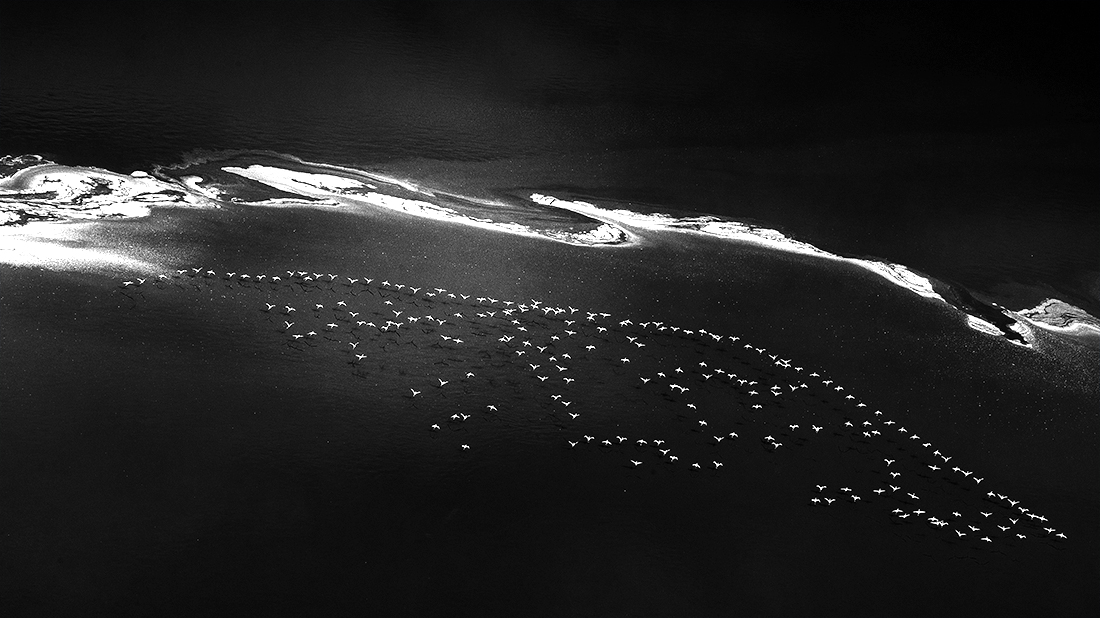 Aerial photography of Maigandi Lake