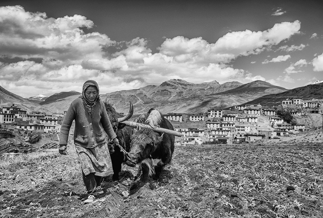 Resilience at Spiti