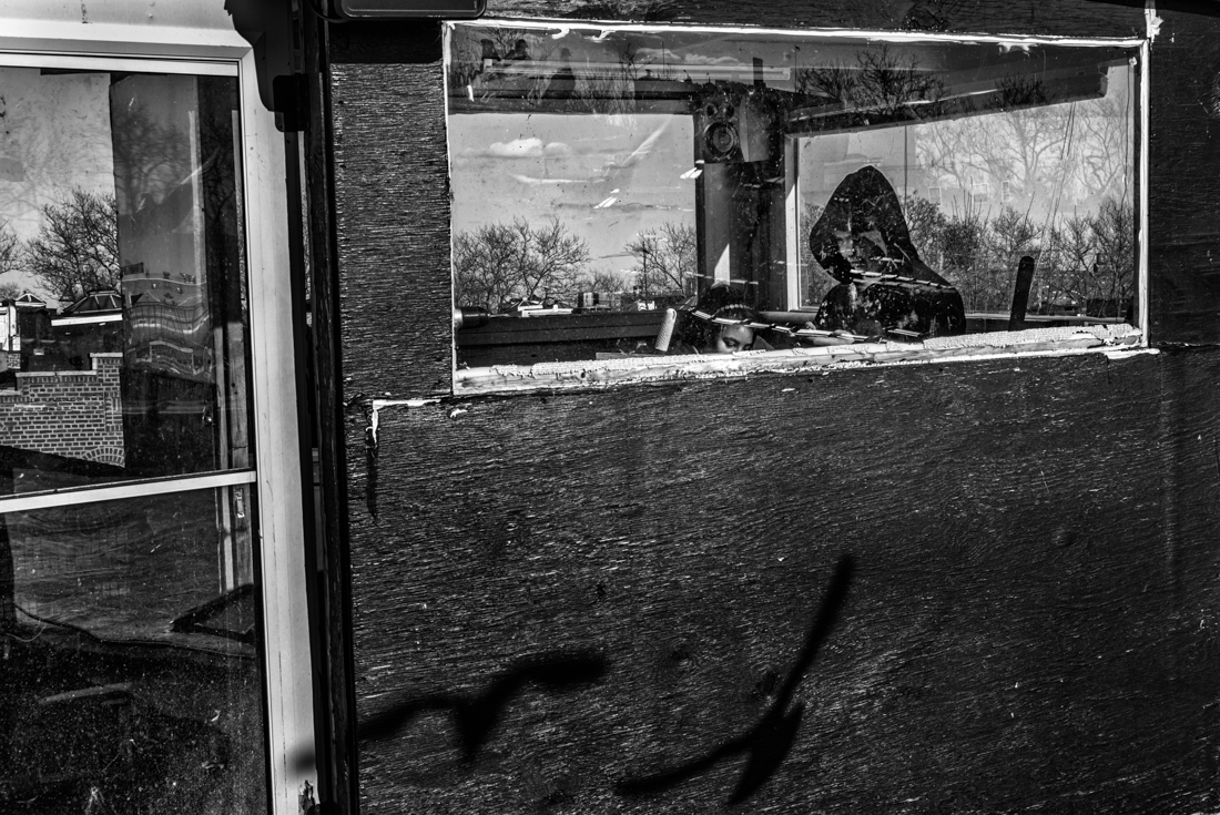 The pigeons are getting braver