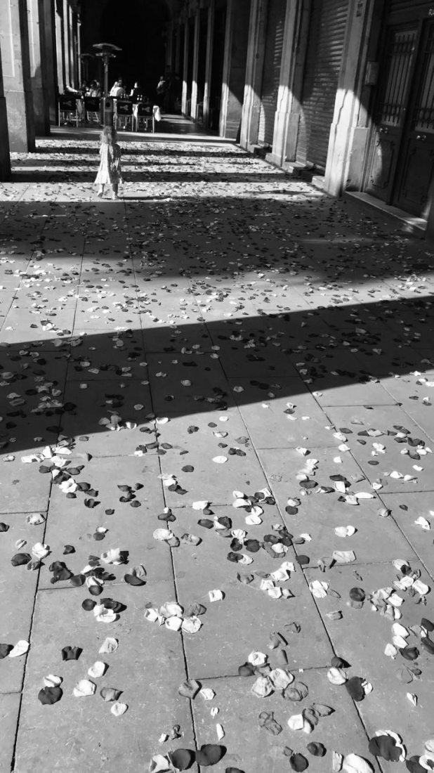 Catalonia Flower Girl 