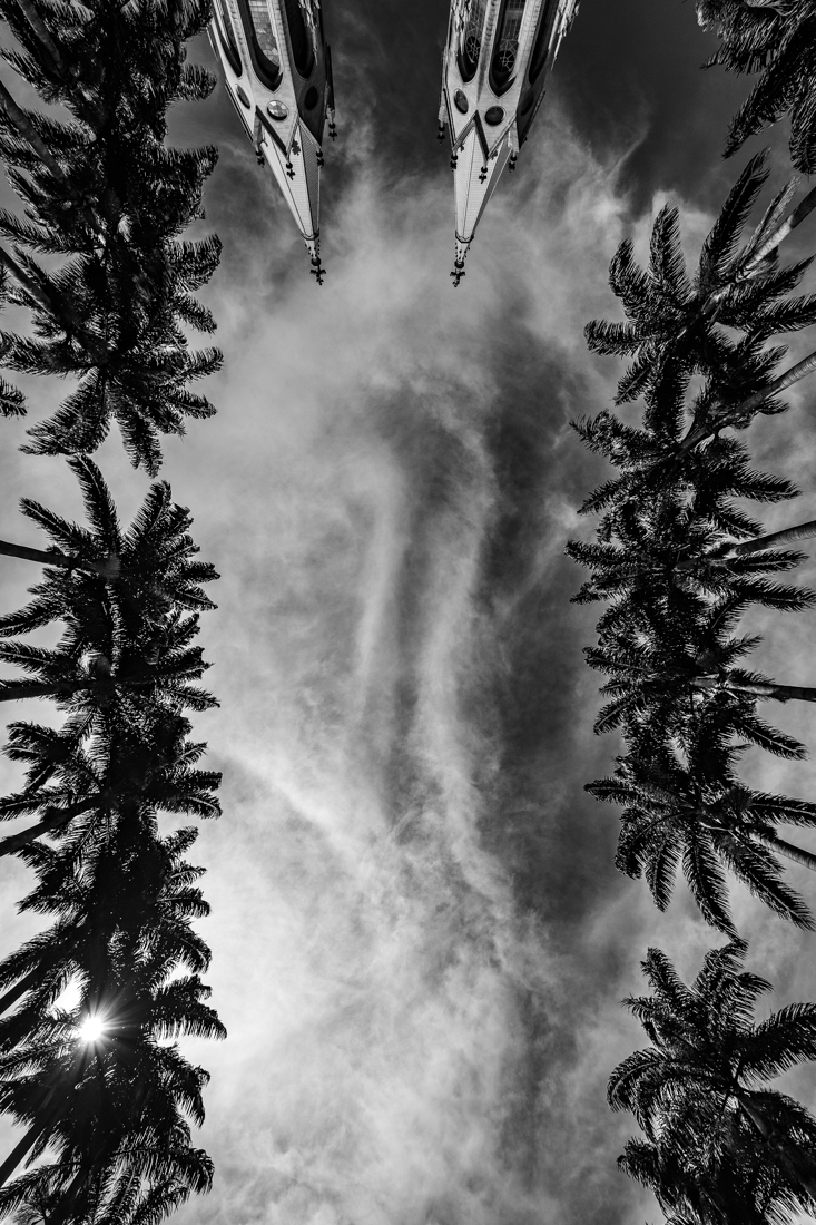 Under a pale grey sky