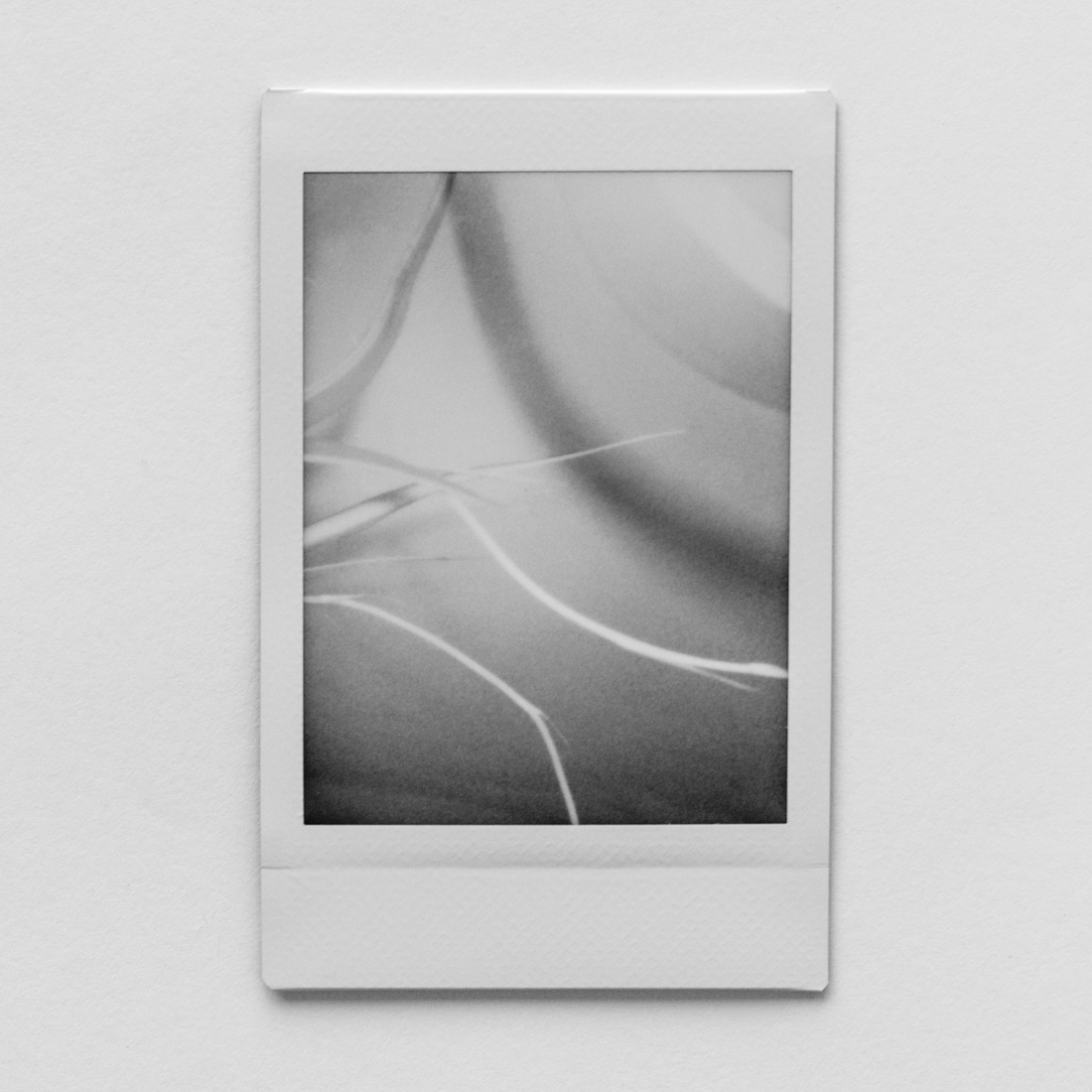 Creating Another Reality