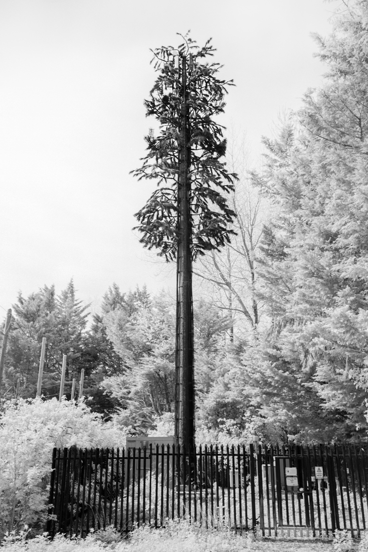 Impressions of Nature