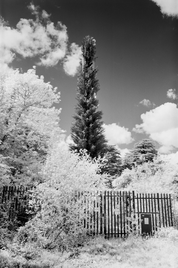 Impressions of Nature