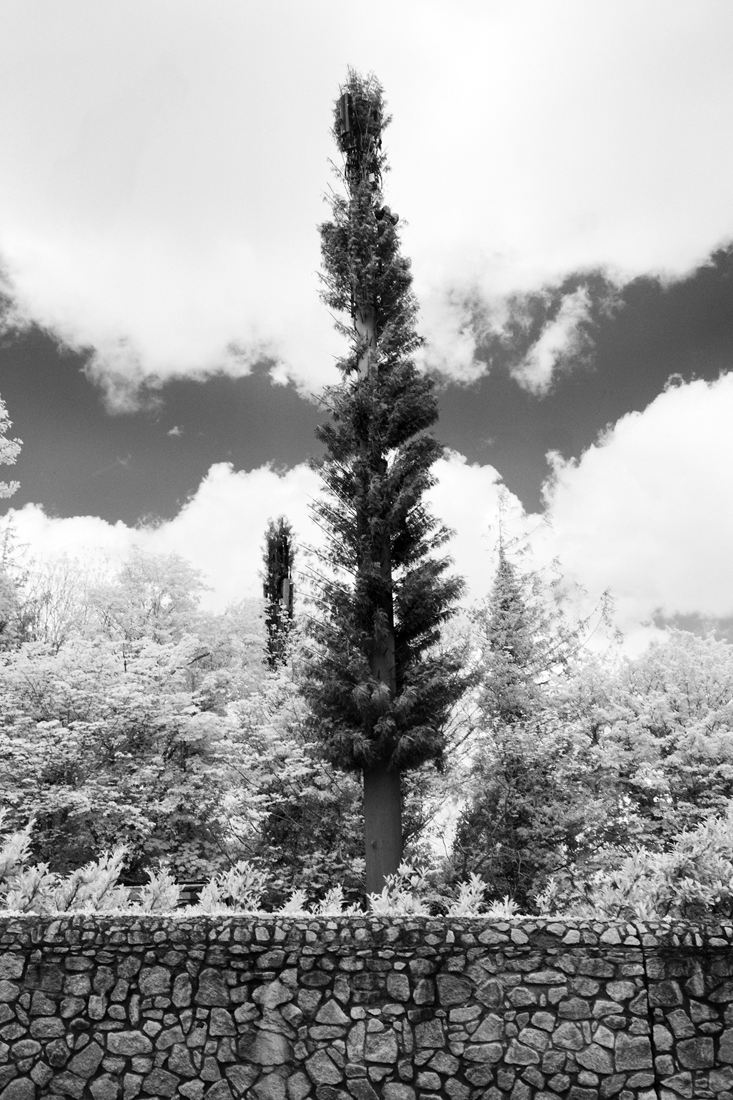 Impressions of Nature