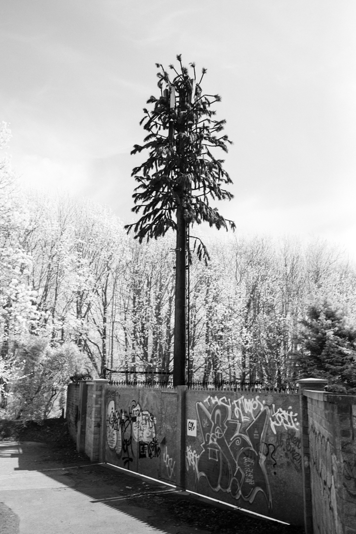 Impressions of Nature