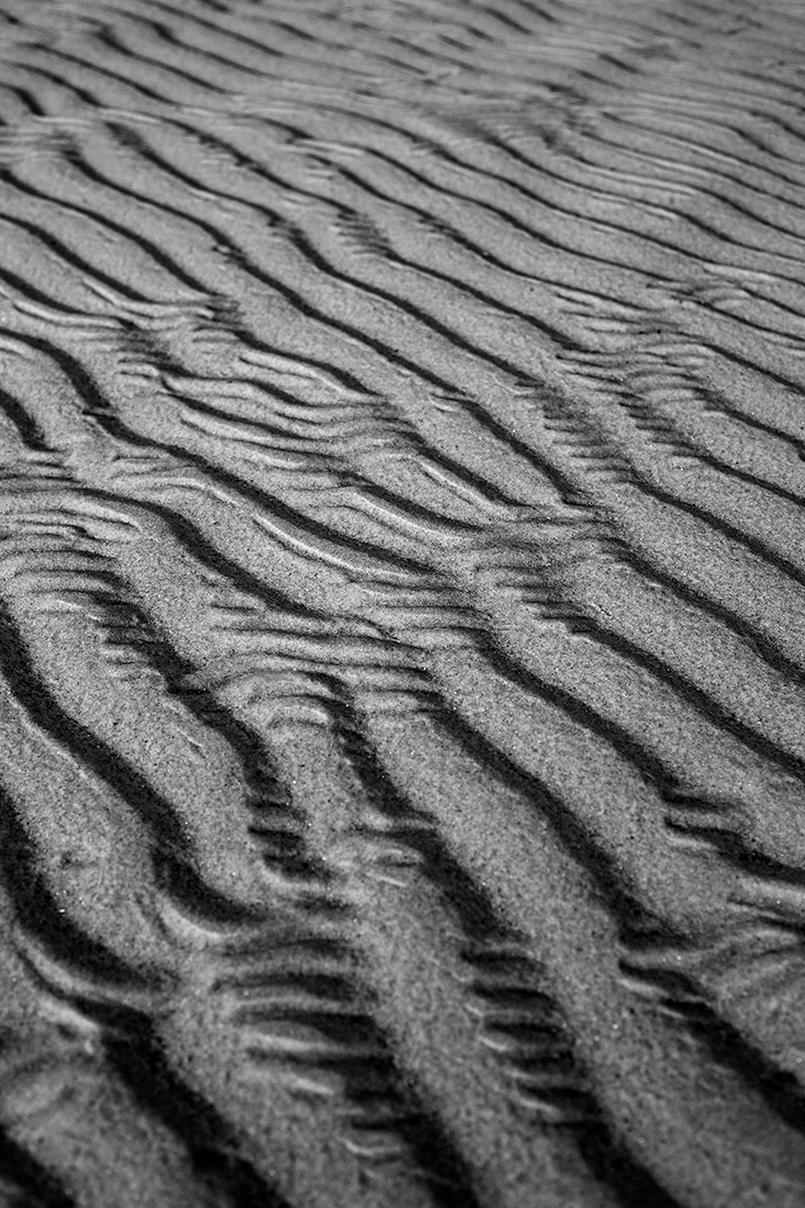 Sand Ripples